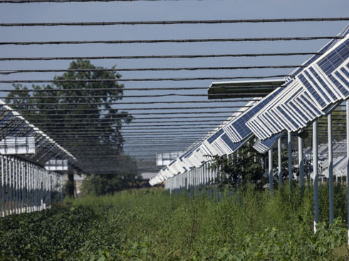 L’Italia stabilisce nuove regole per l’industria innovativa del fotovoltaico agricolo