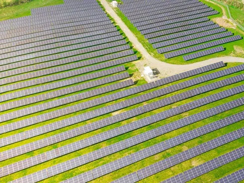 L'IEA afferma che la domanda solare globale raggiungerà i 190 GW quest'anno
