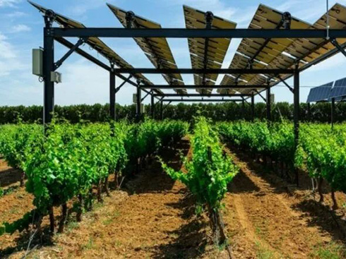 la francia definisce gli standard del fotovoltaico agricolo
