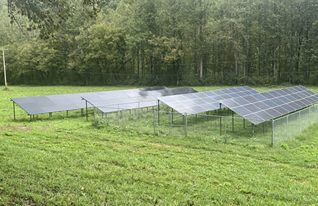 Il rifugio per donne del Kentucky espande il portafoglio di prodotti solari montati a terra