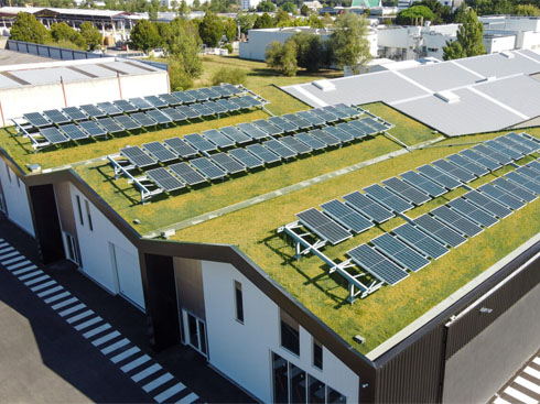 Le startup francesi forniscono nuove soluzioni per i tetti solari verdi