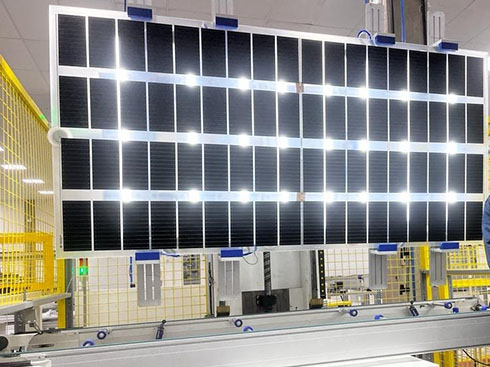 BYD lancia il nuovo modulo fotovoltaico agricolo
        