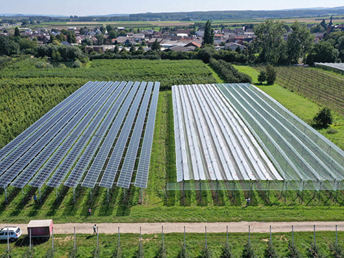 L'Associazione europea dell'industria fotovoltaica pubblica nuove linee guida per il fotovoltaico agricolo